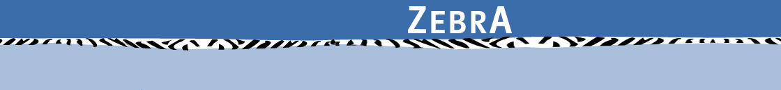 zebra-2007-gr2.gif
