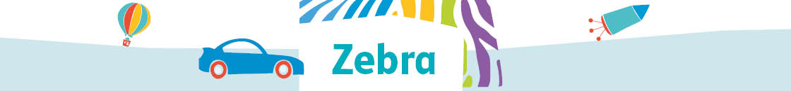 zebra_2018_banner.jpg